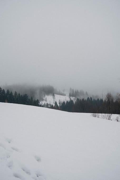 Acko Villa Oscadnica Buitenkant foto