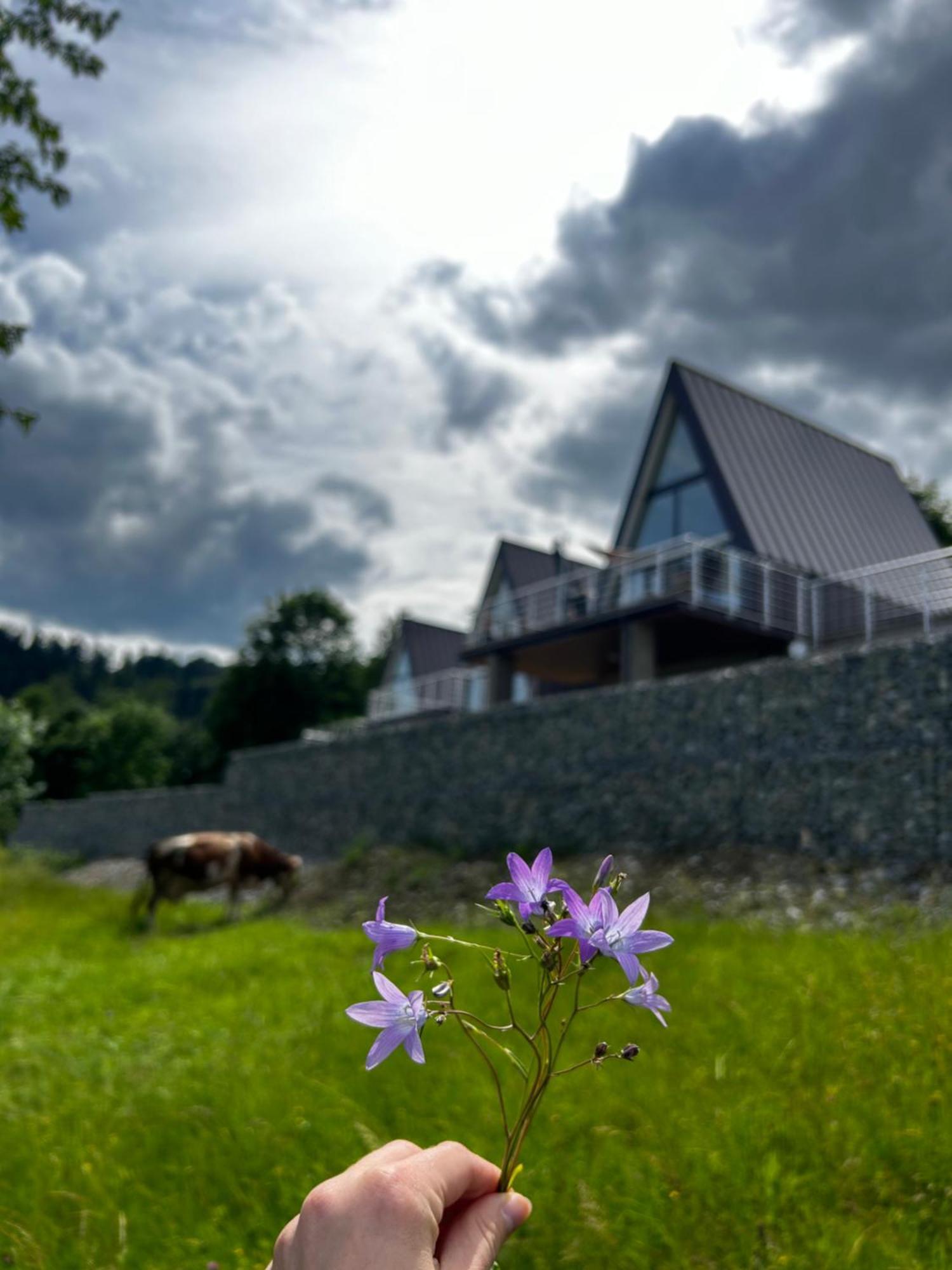 Acko Villa Oscadnica Buitenkant foto